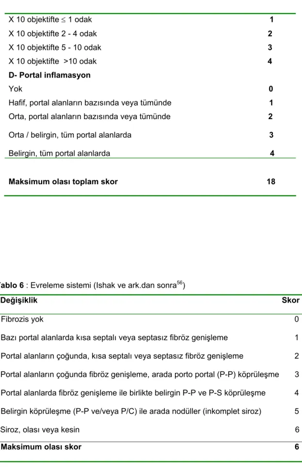 Tablo 6 : Evreleme sistemi (Ishak ve ark.dan sonra 56 ) 