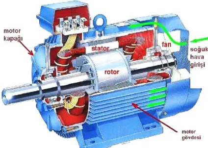 Şekil 3. 5: Alternatif Akım Motoru