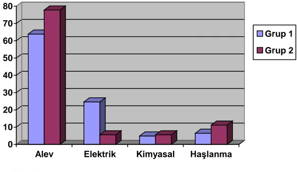 Şekil 2: Yanık Etyolojisi (%)                             