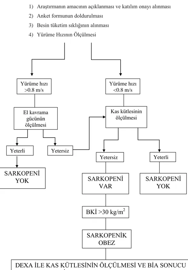 ġekil 3.1. Araştırmanın aşamalarına ilişkin akış şeması 