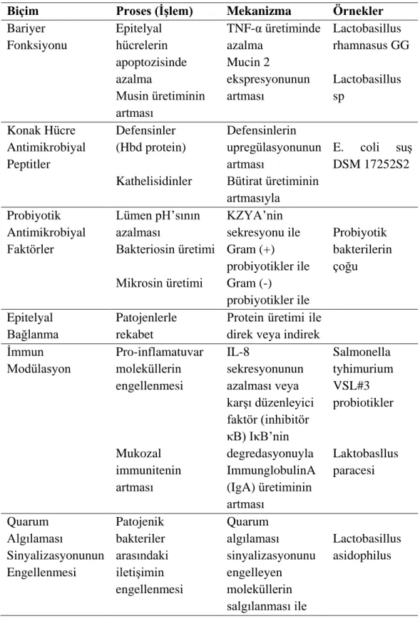 Tablo 2.7. İnsan intestinal hücrelerinde probiyotiklerin mekanzimaları (133). 