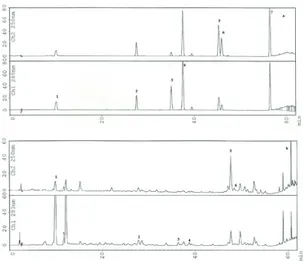 Figure  2-  HPLC  chromatograms  of  standard  phenolic compounds (a) and the Narince (Tokat)  pekmez sample (b)