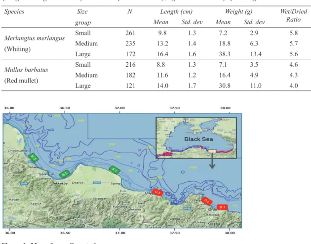 Figure 1- Map of sampling stations