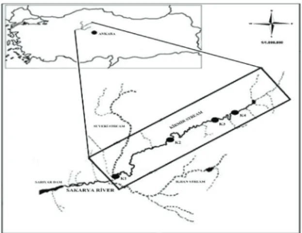 Figure 1- Study area and sampling sites Şekil 1- Araştırma alanı ve örnekleme yerleri