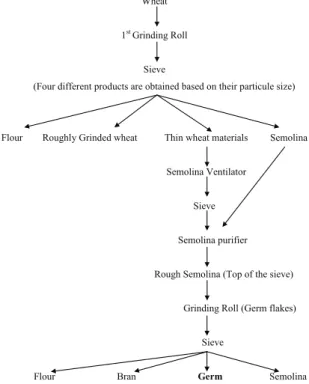 Figure 1- Process flow chart for the production of  wheat germ
