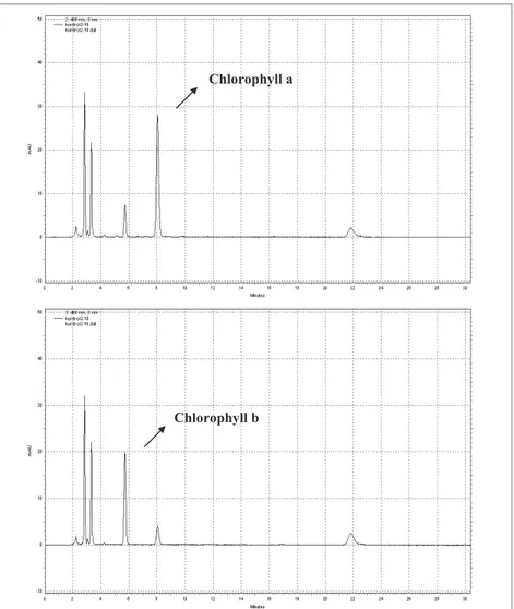 Figure 1- Chlorophyll a (at 430 nm) and chlorophyll b (at 460 nm) peaks in untreated chard