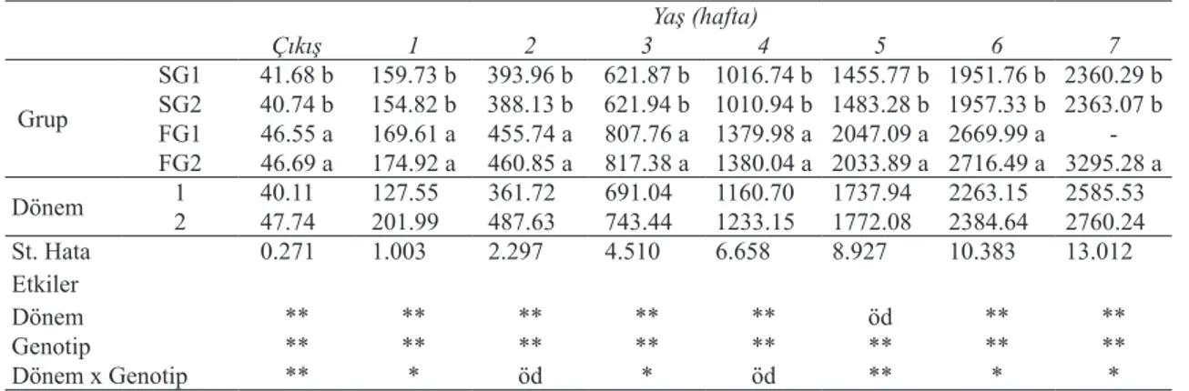 Çizelge 2- Gruplarda yaşa bağlı canlı ağırlık (kg) değişimi