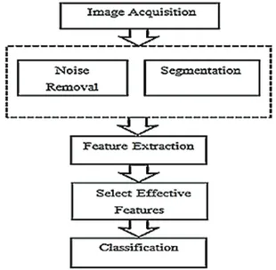 Figure 3- Flowchart of the image processing  algorithm for discriminating irregular potatoes