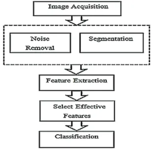 Figure 3- Flowchart of the image processing  algorithm for discriminating irregular potatoes