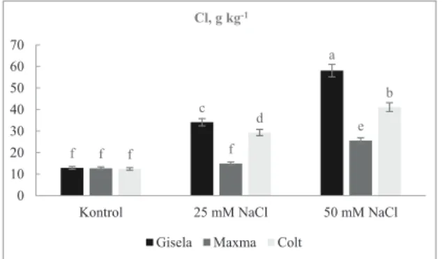Şekil  8-  In vitro  koşullarda  NaCl  uygulamasının  kiraz  anaçlarının  Cl  konsantrasyonuna  etkisi  [F-Test: Anaç:  ** ; Tuz:  ** ; A*T:  **  ( ** , P&lt;0.01)] Figure 8- Effect of NaCl on Cl concentrations of sweet  cherry rootstocks grown in vitro [F