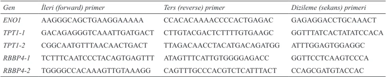 Çizelge 2- Her bir SNP bölgesi için elde edilen PCR  ürünü,  SNP’lerin  nükleotit  pozisyonu  ve  referans  dizilerin GenBank erişim numaraları