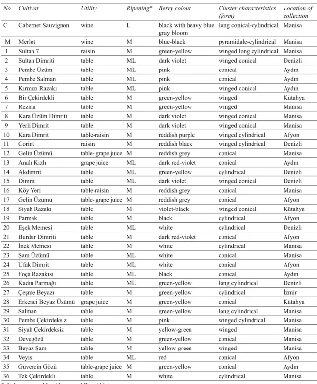Table 1- Basic descriptive characteristic of 36 autochthonous and 2 standard grapevine cultivars