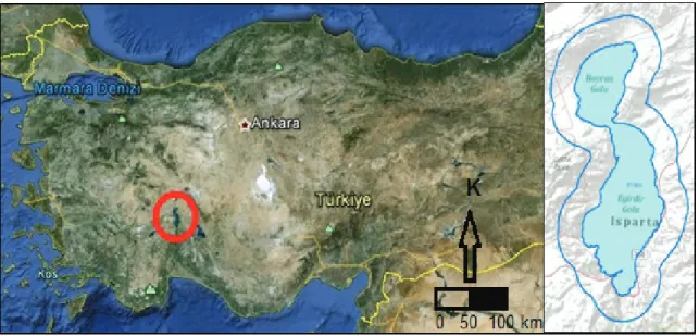 Şekil 1- Çalışma alanının konumu Figure 1- Location of study area