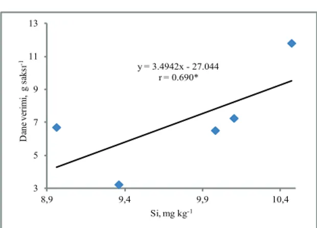 Şekil  4-  Tuz  uygulanmış  kontrol  toprakların  yarayışlı  Si  kapsamı  ile  çeltik  dane  verimi  arasındaki ilişki