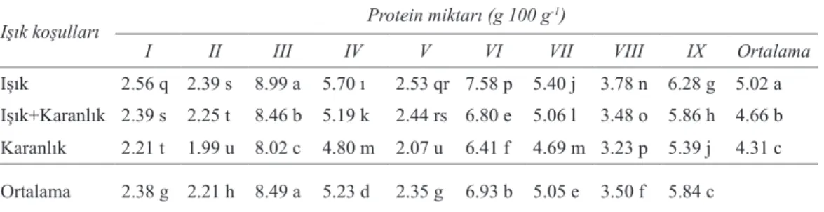 Çizelge 3- Tohum karışımları ve ışıklanmanın filizlerin protein içeriği üzerine etkileri (g 100 g -1 ) Table 3- Effect of light and seed mixture on protein content (g 100 g -1 ) of sprouts