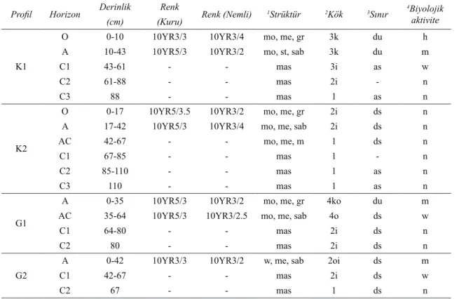 Table 1- Morphological characteristics of profile