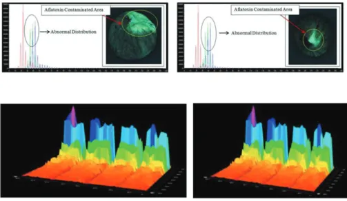 Figure 13- Identification of aflatoxin contaminated fig samples on the color space