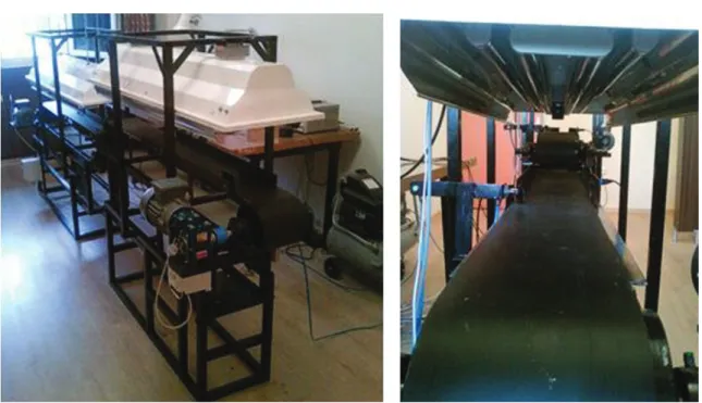 Figure 1- Aflatoxin contaminated dried fig separating machine