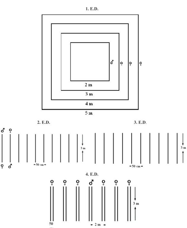 Figure 1- Experimental designs used for determining cross-pollination rate in safflower: E.D., experimental  design