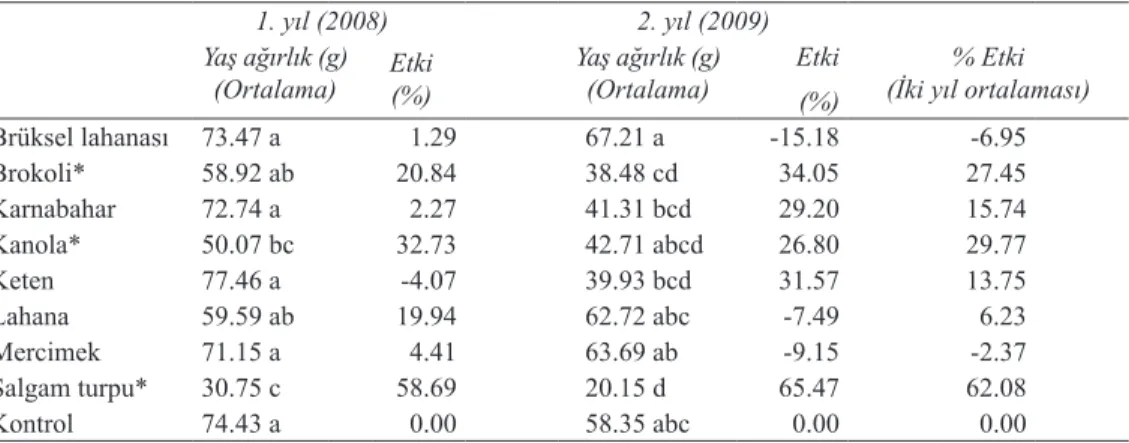 Table 2- Effect of potential trap and catch crops to branch number of Egyptian broomrape (P