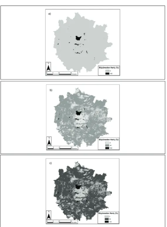 Şekil 10- Harici bölge katmanları: a, kontrolsüz; b, kısmi kontrollü; c, kontrollü büyüme