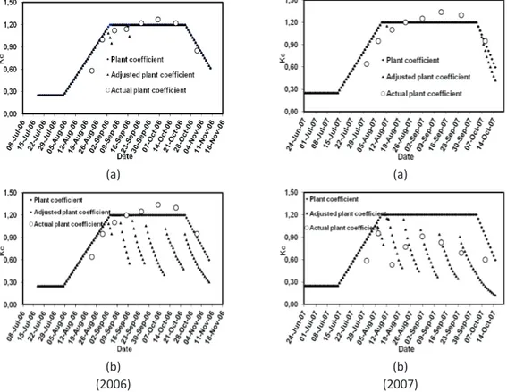 Figure 4-Variation of plant water consumption coefficients a) conventional furrow b) alternate furrow Şekil 4-Bitki su tüketim katsayılarının değişimi a) Sürekli karık b) Alternatif karık