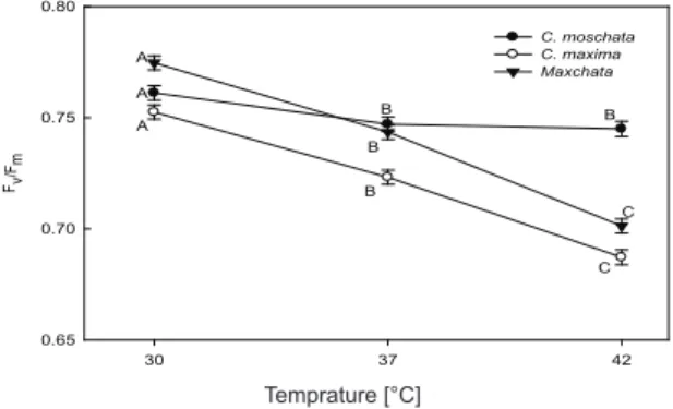 Figure  2-  Effect  of  heat  stress  on  maximum  photochemical  efficiency  of  PSII  (F v /F m )
