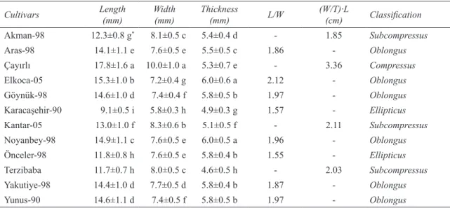 Table  4-  Length,  width  and  thickness  values  of  the  bean  cultivars  (mean±standard  deviation)  and  classification regarding the shape properties