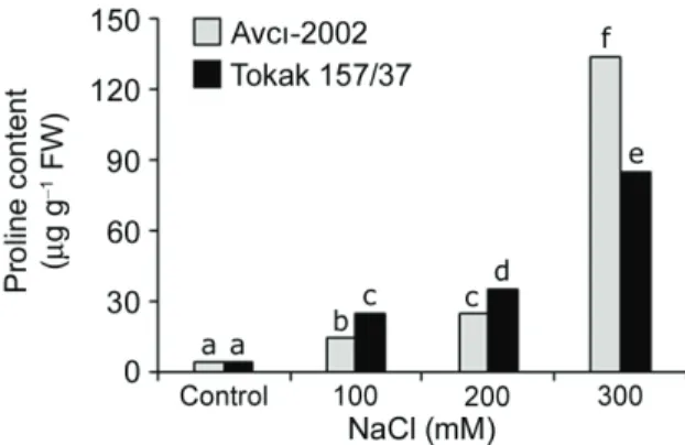 Figure 3- Effect of NaCl salinity on proline content  in  leaf  tissues  of  tolerant Avcı-2002  and   salt-sensitive  Tokak  157/37  barley  cultivars