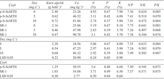 Çizelge 2- Farklı Cu dozu uygulamalarının, çeşit ve çeşit x doz interaksiyonlarının transgenik p-S-ScMTII  tütün  bitkisi  ve  transgenik  olmayan  SR-1  tütün  bitkileri  yeşil  aksamlarının  kuru  ağırlıkları,  element  konsantrasyonları ve N/P, N/K ve P