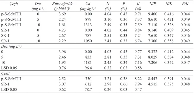 Çizelge 3- Farklı Cd dozu uygulamalarının, çeşit ve çeşit x doz interaksiyonlarının transgenik p-S-ScMTII ve  transgenik olmayan SR-1 tütün bitkilerinin yeşil aksamlarının kuru ağırlıkları, element konsantrasyonları  ve N/P, N/K ve P/K oranları üzerine etk