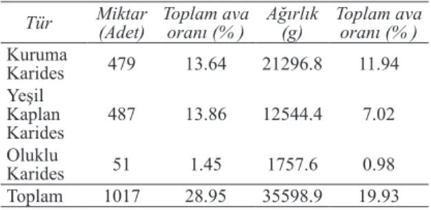 Çizelge  4-  Hedef  tür  olarak  yakalanan  karides  türlerinin miktar (adet) ve ağırlıkları (g)