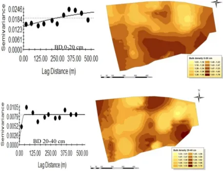 Figure 3-Semivarograms and kriged maps of bulk density for surface and subsurface soils 