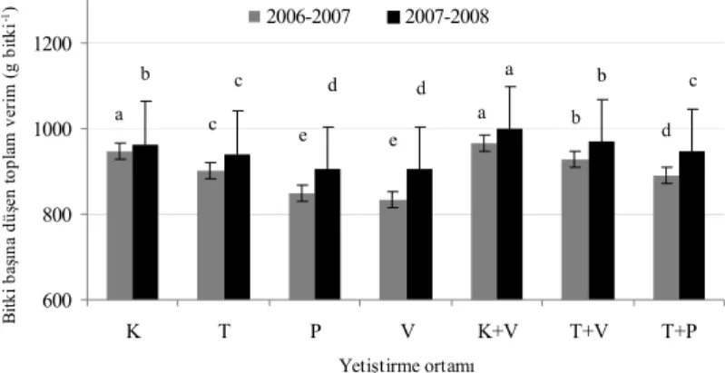 Figure 1-Total fruit yield in accordance with seedling types 