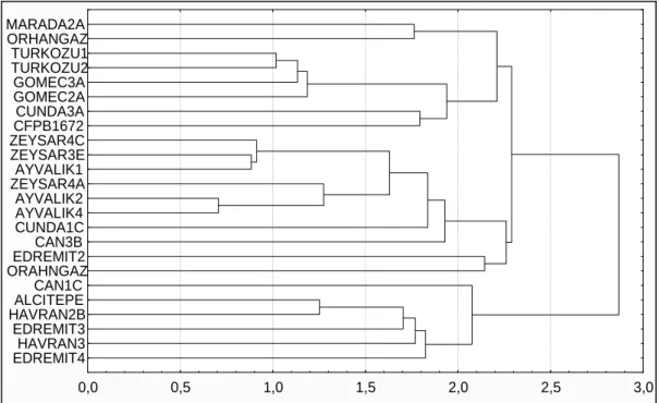 Table 3-Fatty acid compositions of olive isolates from Marmara Region 
