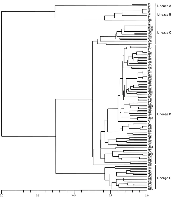Figure 2-UPGMA dendrogram constructed for 116 isolates of Fusarium oxysporum f. sp. cepae   sampled from Turkey and Colorado based on Jaccard’s coefficient of similarity 