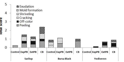 Figure 8-Off-road (3 Hz∼∼∼∼0.56 m s -2 ) effect during transportation on the visual attributes of fresh figs in the 