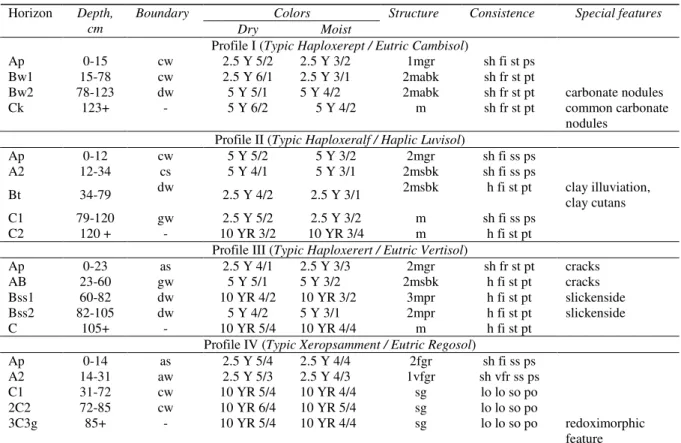 Table 1-Some morphological characteristics of profiles 