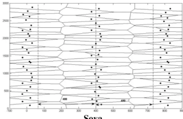 Figure 3-Seed distribution on the field and plant  growing areas formed via voronoi polygons