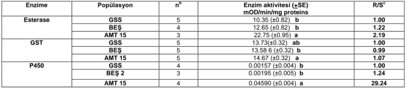 Çizelge 5. GSS, BEŞ ve AMT 15 popülasyonlarının esteraz, GST ve P450 enzimlerinin aktiviteleri a 