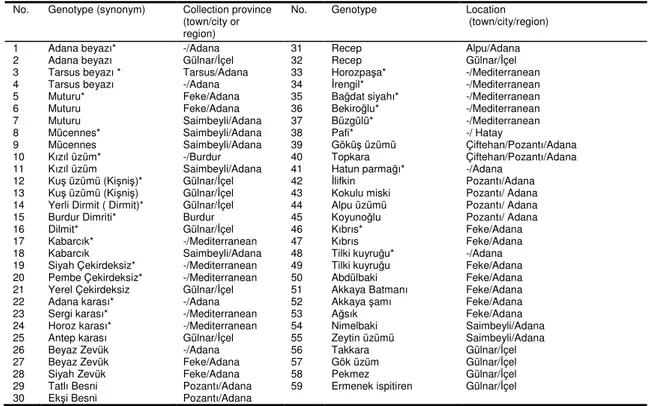 Table 1.  Origin of grape cultivars used in this study 