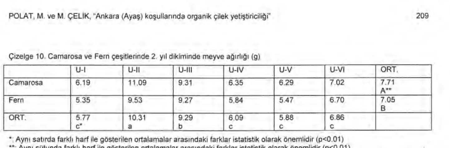 Çizelge 10. Camarosa ve Fern çe ş itlerinde 2. y ı l dikiminde meyve a ğı rl ığı   (g) 