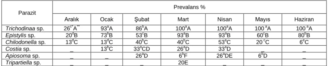 Çizelge  2.  Kesikköprü  Baraj  Gölü‟de  ağ  kafeslerde  yetiştirilen  gökkuşağı  alabalıklarının  (Oncorhynchus  mykiss  )  parazit  cinslerine göre aylık prevalans değerleri