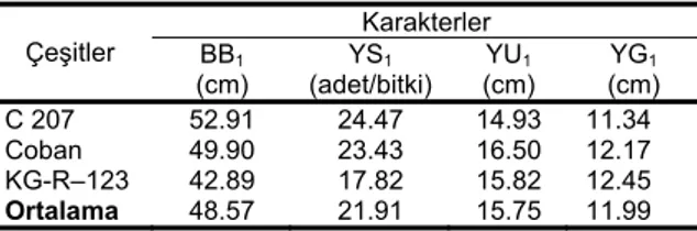 Tabla çapı: Verimi etkileyen en önemli 