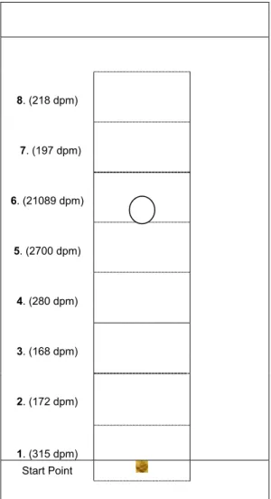 Figure 1. Use of TLC for the purification of   14 C-trifluralin                  (Tiryaki 1995)