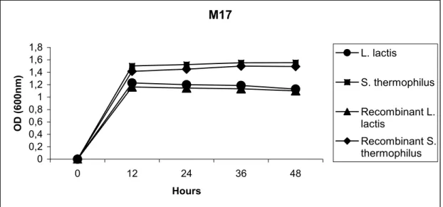 Figure 1 and 2 show the growth rate of original  and recombinant S. salivarius subsp. thermophilus and  L