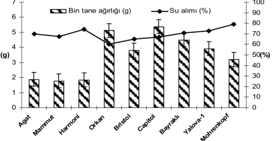 Şekil 1. İncelenen Brassica türlerinin bin tane ağırlıkları (g) ve su alım yüzdeleri (%)  Şekil üzerindeki barlar standart hatayı göstermektedir.