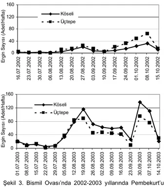 Şekil 3. Bismil Ovası’nda 2002-2003 yıllarında Pembekurt’un  feromon tuzaklarındaki populasyon gelişimi
