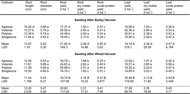 Table 1. Root and leaf yields and their components of  forage turnip seeded after barley and wheat in 2003  Cultivars Root  length  (cm)  Root  diameter (cm)  Root yield (t ha -1 )  Root  dry matter yield  (t ha -1 )  Root  crude protein yield (t ha-1)  Le