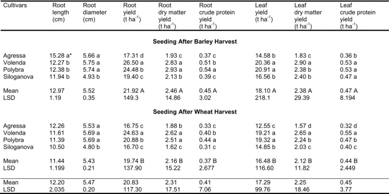 Table 1. Root and leaf yields and their components of  forage turnip seeded after barley and wheat in 2003  Cultivars Root  length  (cm)  Root  diameter (cm)  Root yield (t ha -1 )  Root  dry matter yield  (t ha -1 )  Root  crude protein yield (t ha-1)  Le
